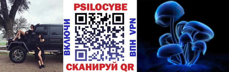 Купить где  Наро-Фоминск  Псилоцибиновые грибы Psilocybine cubensis 